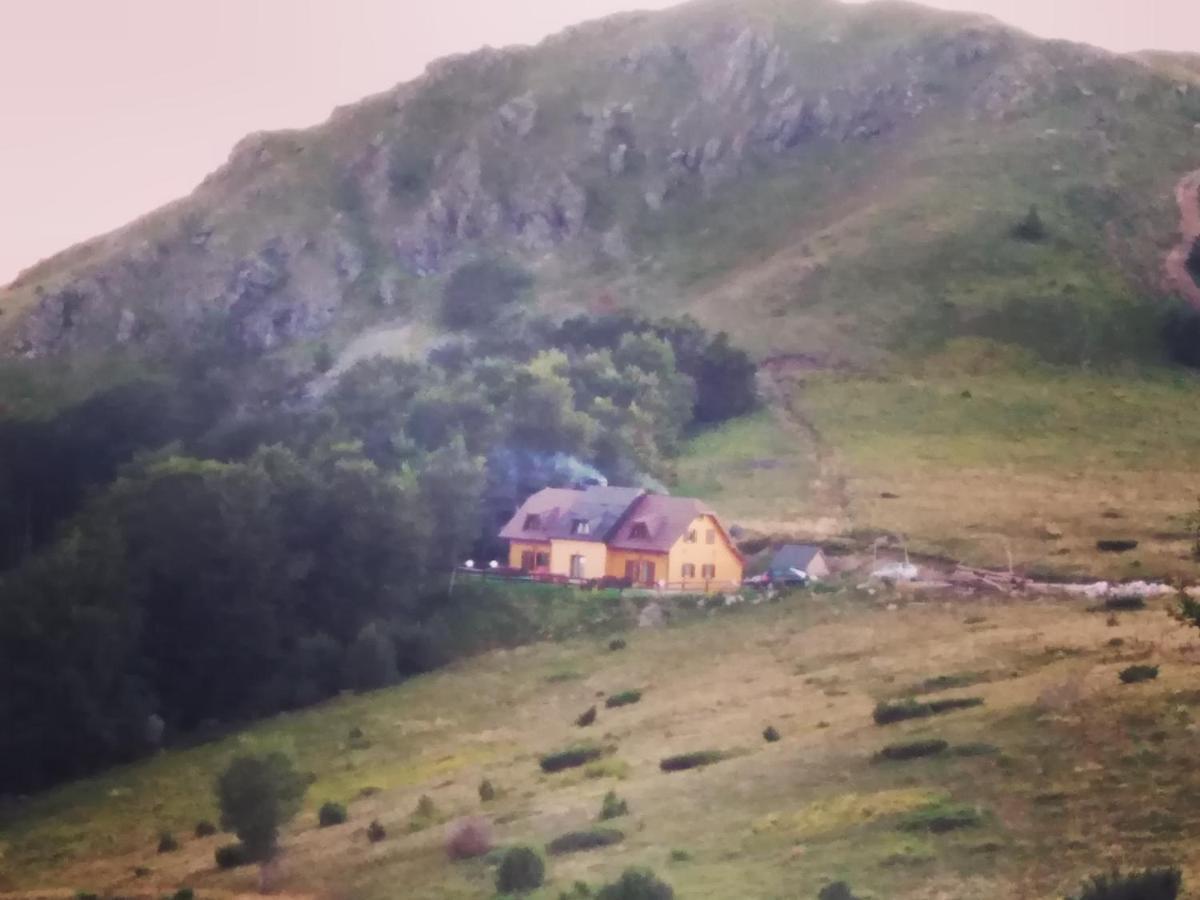 Vikendica Vila Despotovic Kopaonik Ngoại thất bức ảnh