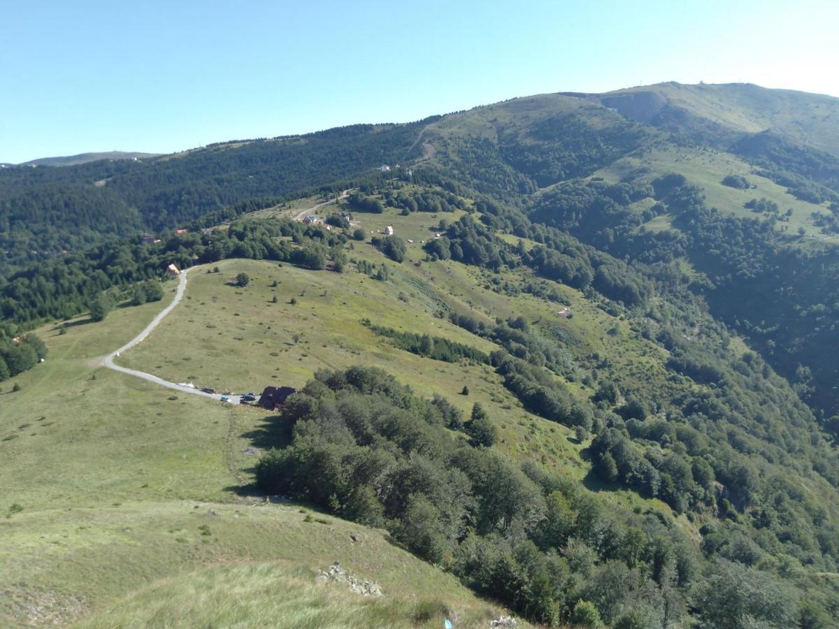 Vikendica Vila Despotovic Kopaonik Ngoại thất bức ảnh