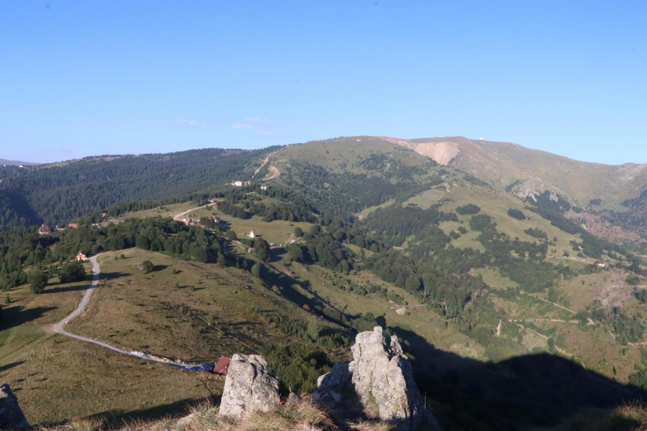 Vikendica Vila Despotovic Kopaonik Ngoại thất bức ảnh