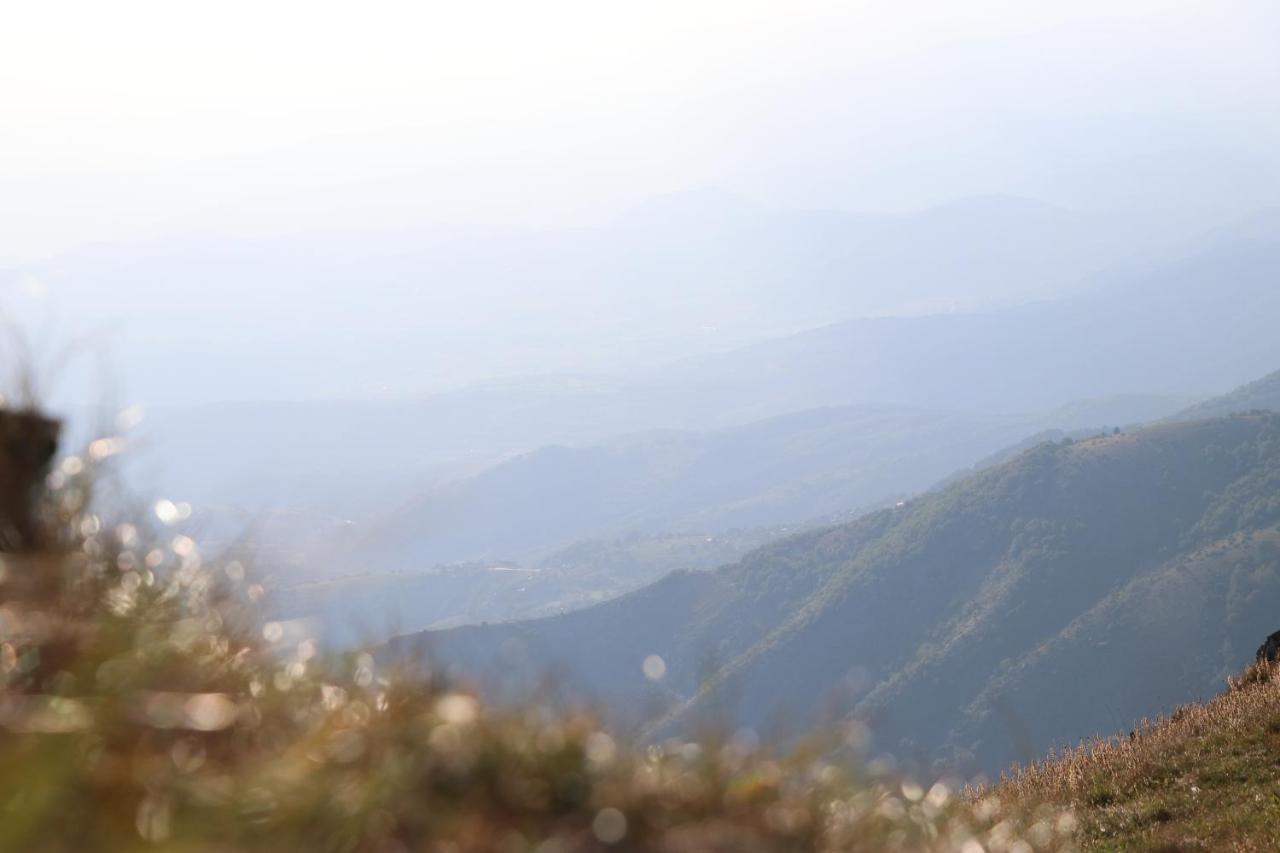 Vikendica Vila Despotovic Kopaonik Ngoại thất bức ảnh