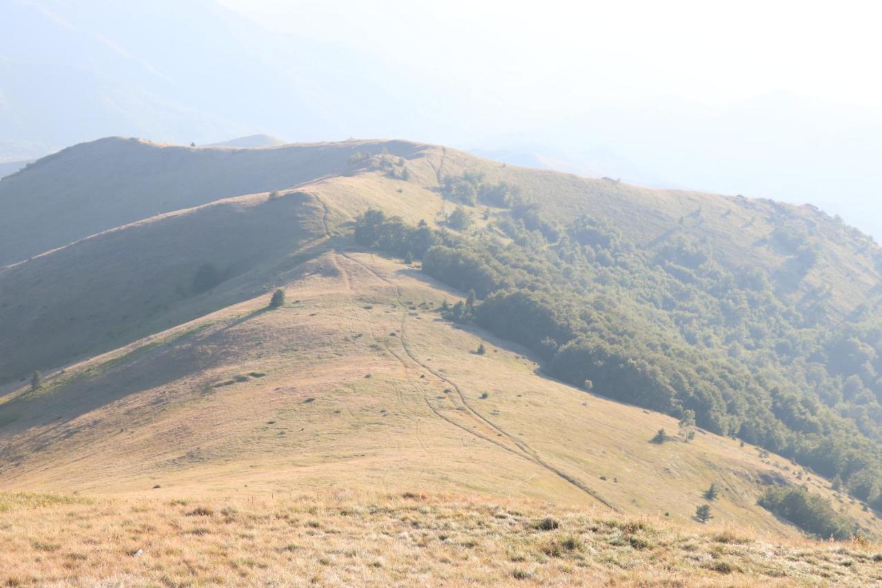 Vikendica Vila Despotovic Kopaonik Ngoại thất bức ảnh
