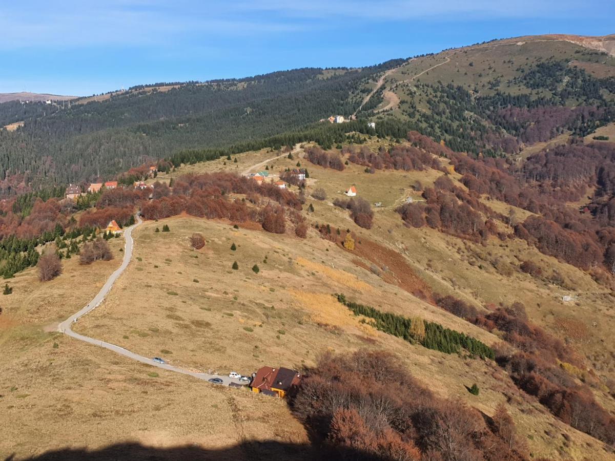 Vikendica Vila Despotovic Kopaonik Ngoại thất bức ảnh