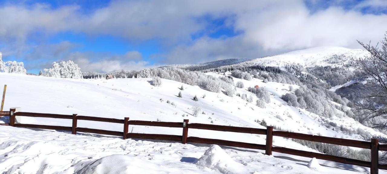 Vikendica Vila Despotovic Kopaonik Ngoại thất bức ảnh