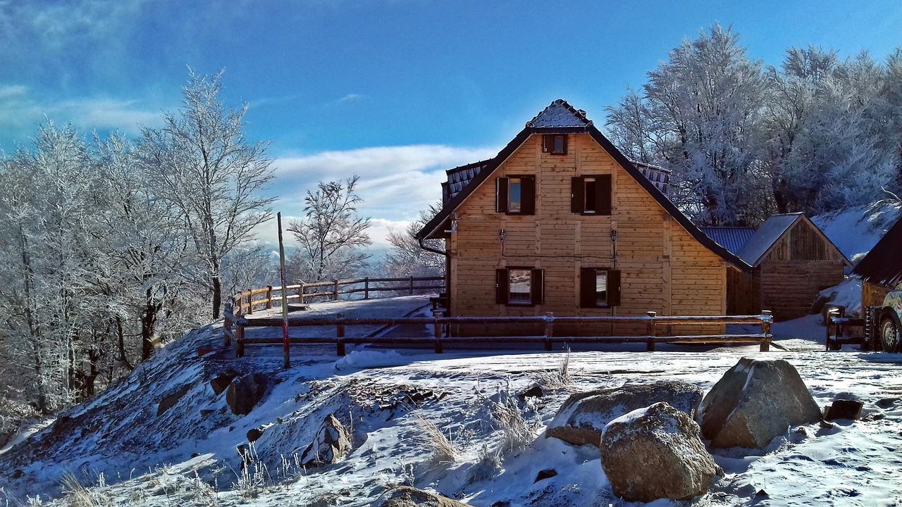 Vikendica Vila Despotovic Kopaonik Ngoại thất bức ảnh