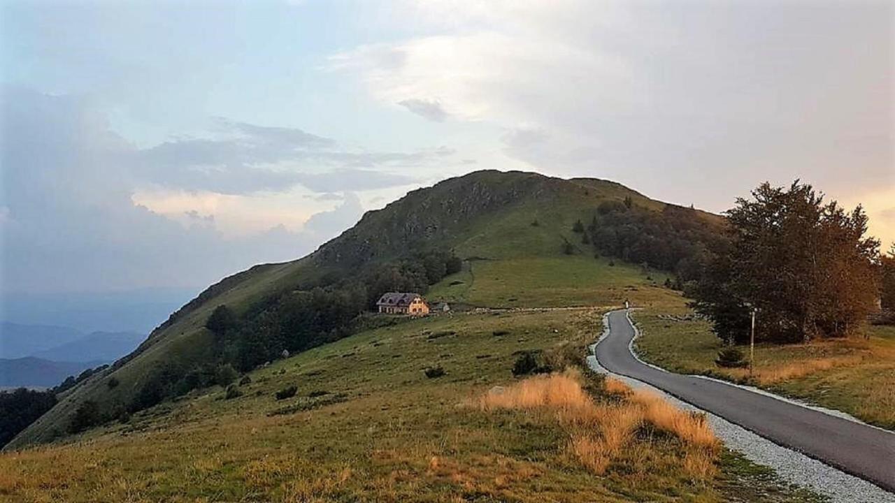 Vikendica Vila Despotovic Kopaonik Ngoại thất bức ảnh